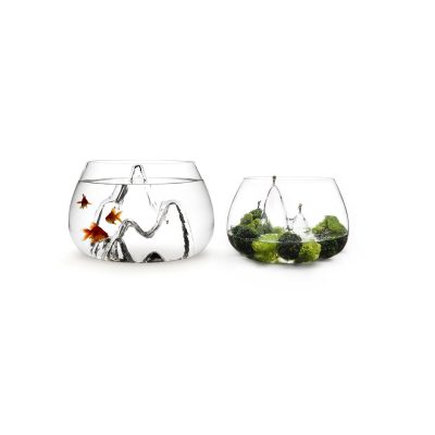 Fishscape Fishbowl by Aruliden for Gaia and Gino - Gessato Design Store