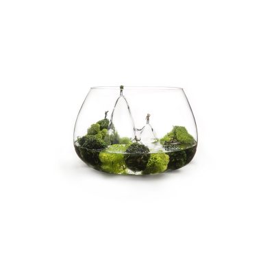 Fishscape Fishbowl by Aruliden for Gaia and Gino - Gessato Design Store
