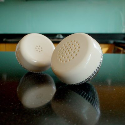 Taste of Talking Salt and Pepper Shakers-25695