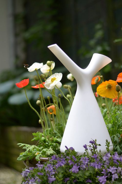 Spring Watering Can by Robert Bronwasser for Goods-24665