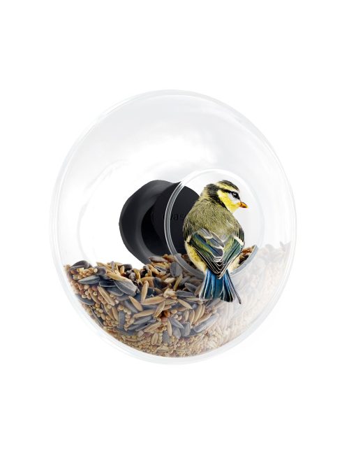 Window bird feeder-28624