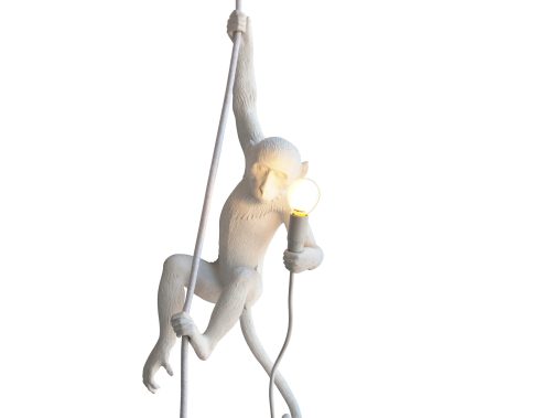 Seletti Monkey Lamp, Ceiling-28792