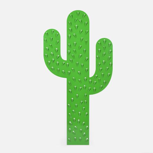 Cactus Catchall-31839