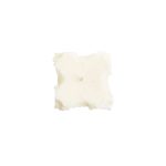 Bernini-33432