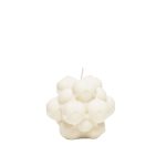 Hazelnut-33480