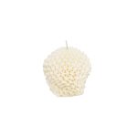 Passiflora-33446