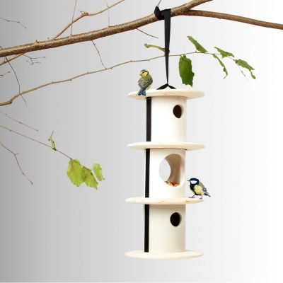 bird-breakfast-birdhouse-2