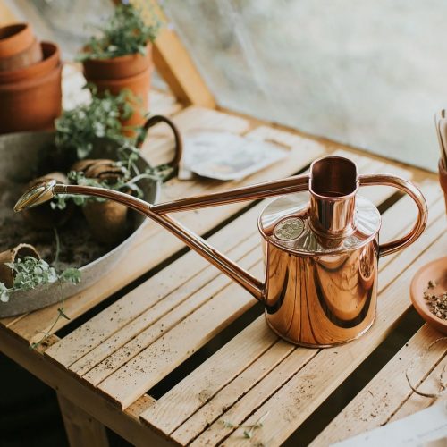 Copper Watering Can - Gessato Design Store