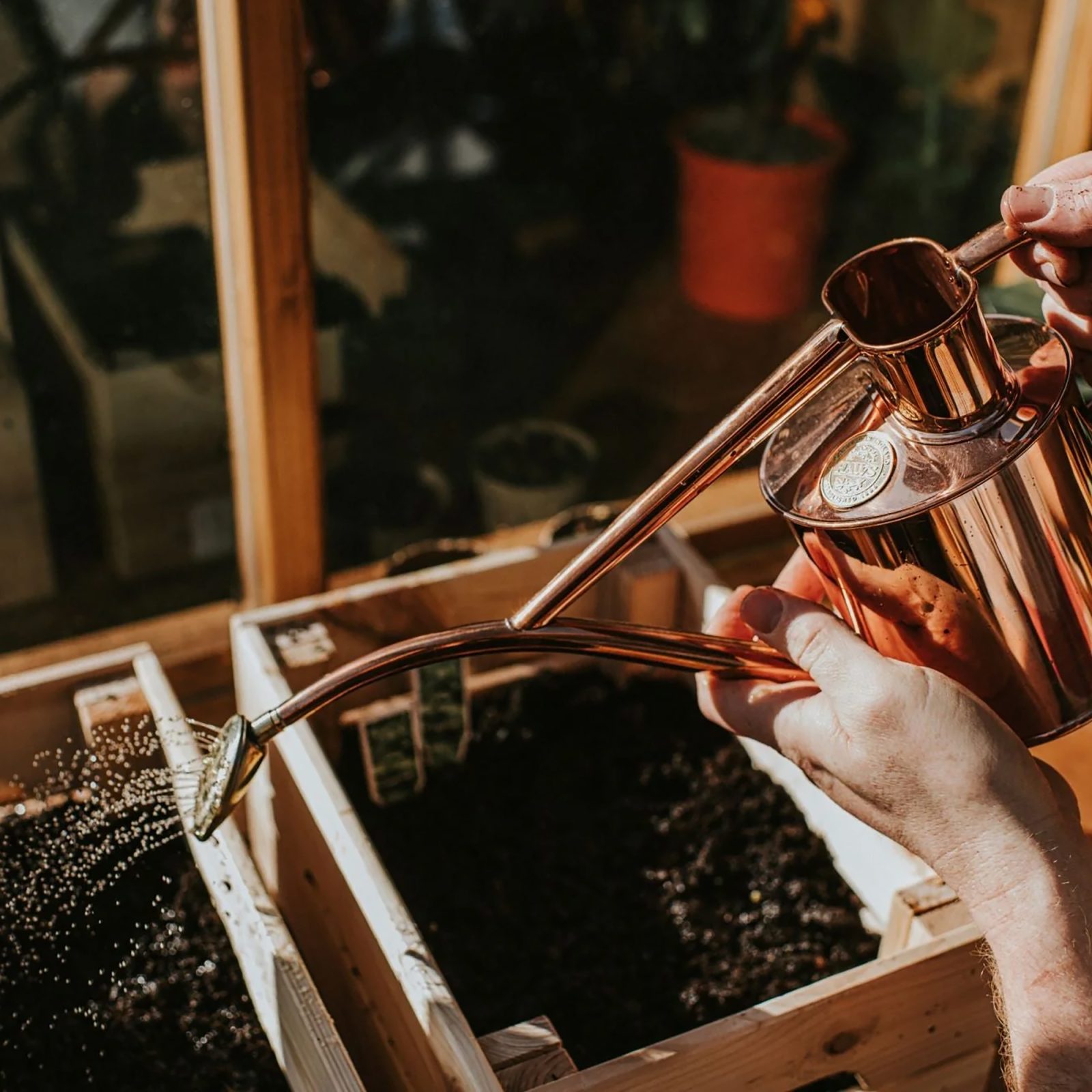 Haws Indoor Watering Can watering can and plant sprayer made of copper in a gift - Set copper can The Rowley Ripple - Two buy Pint copper