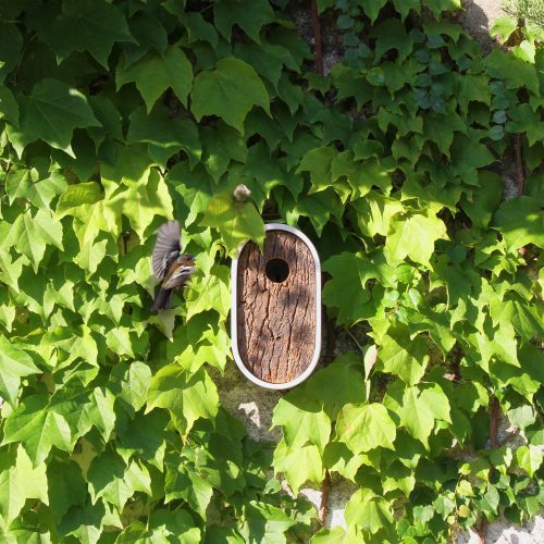 hole-inn-concrete-cork-birdhouse-3