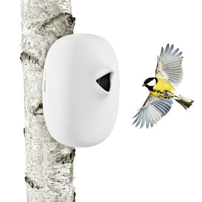 nesting-box-4
