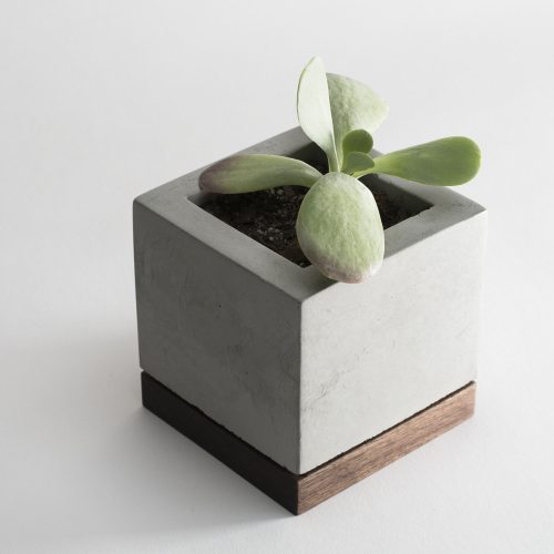 planter-concrete-and-walnut-7