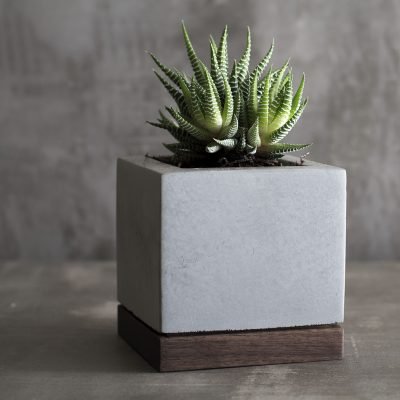 planter-concrete-and-walnut-8
