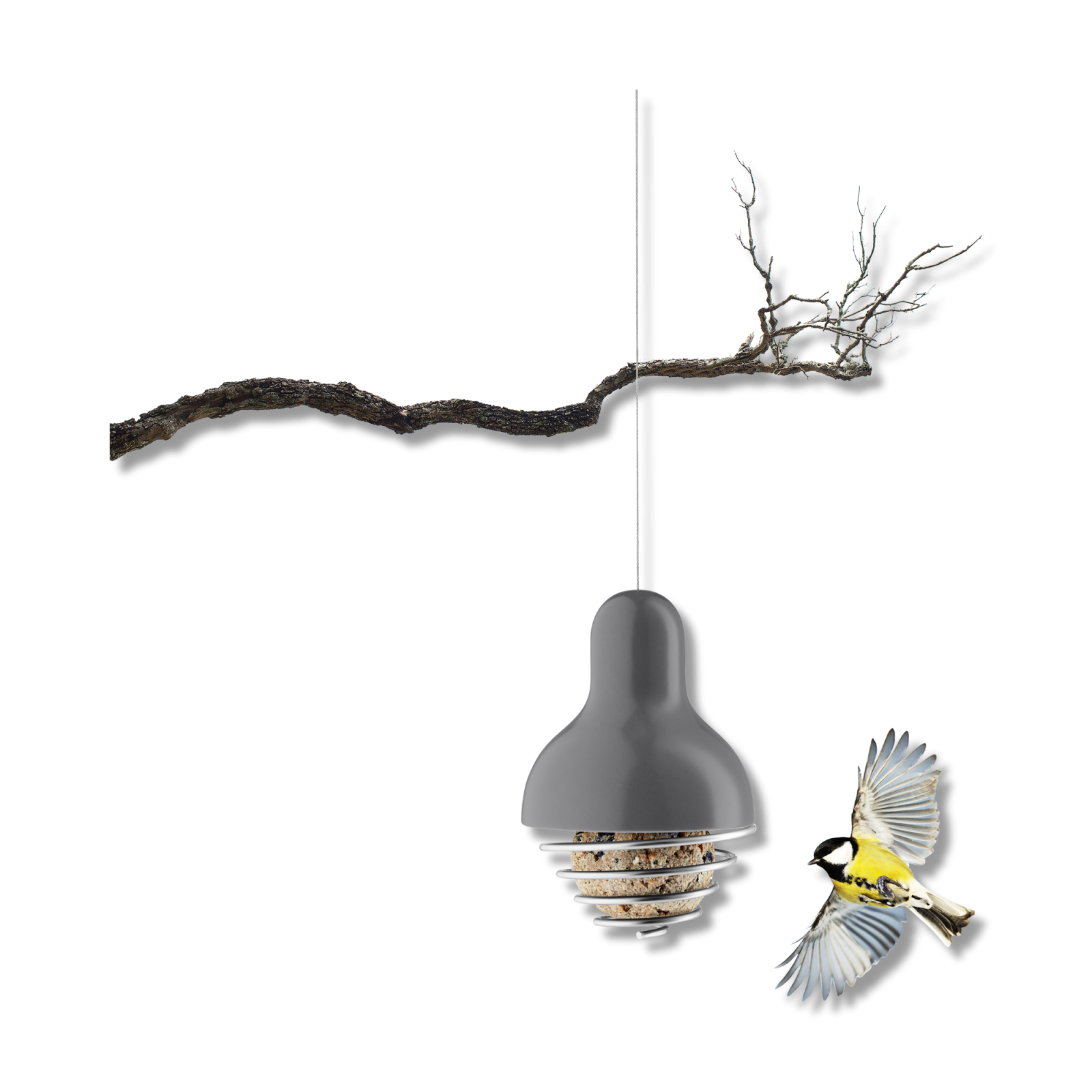 suet-bird-feeder-1