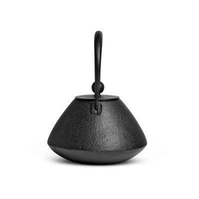ogasawara-cast-iron-teapot-3