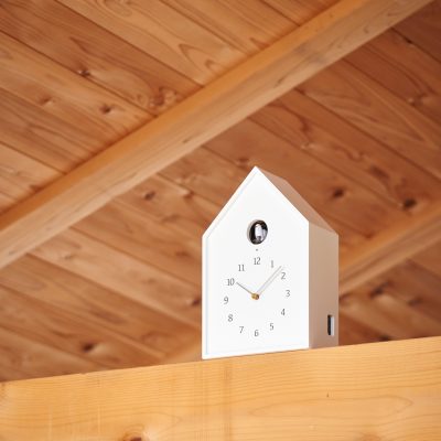 birdhouse-white