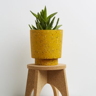 cork-plant-stand-3
