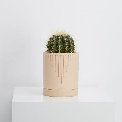etch-planter-salt-3
