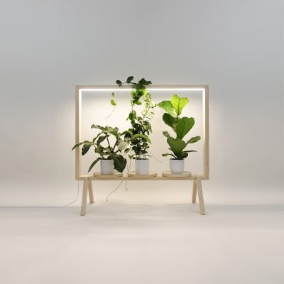 greenframe-3