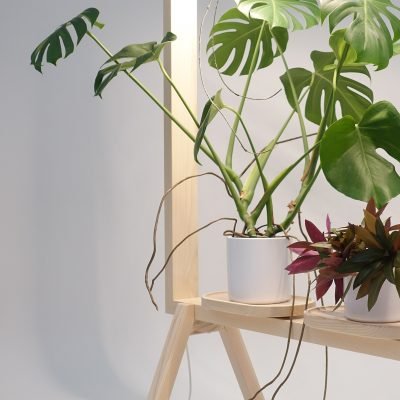 greenframe-5