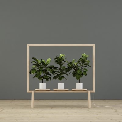 greenframe-9