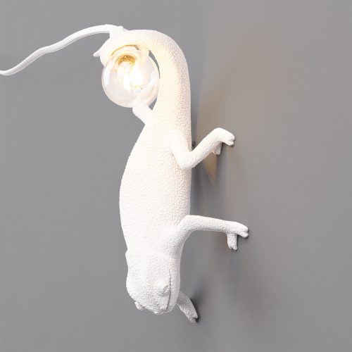 chameleon-lamp-going-down-4