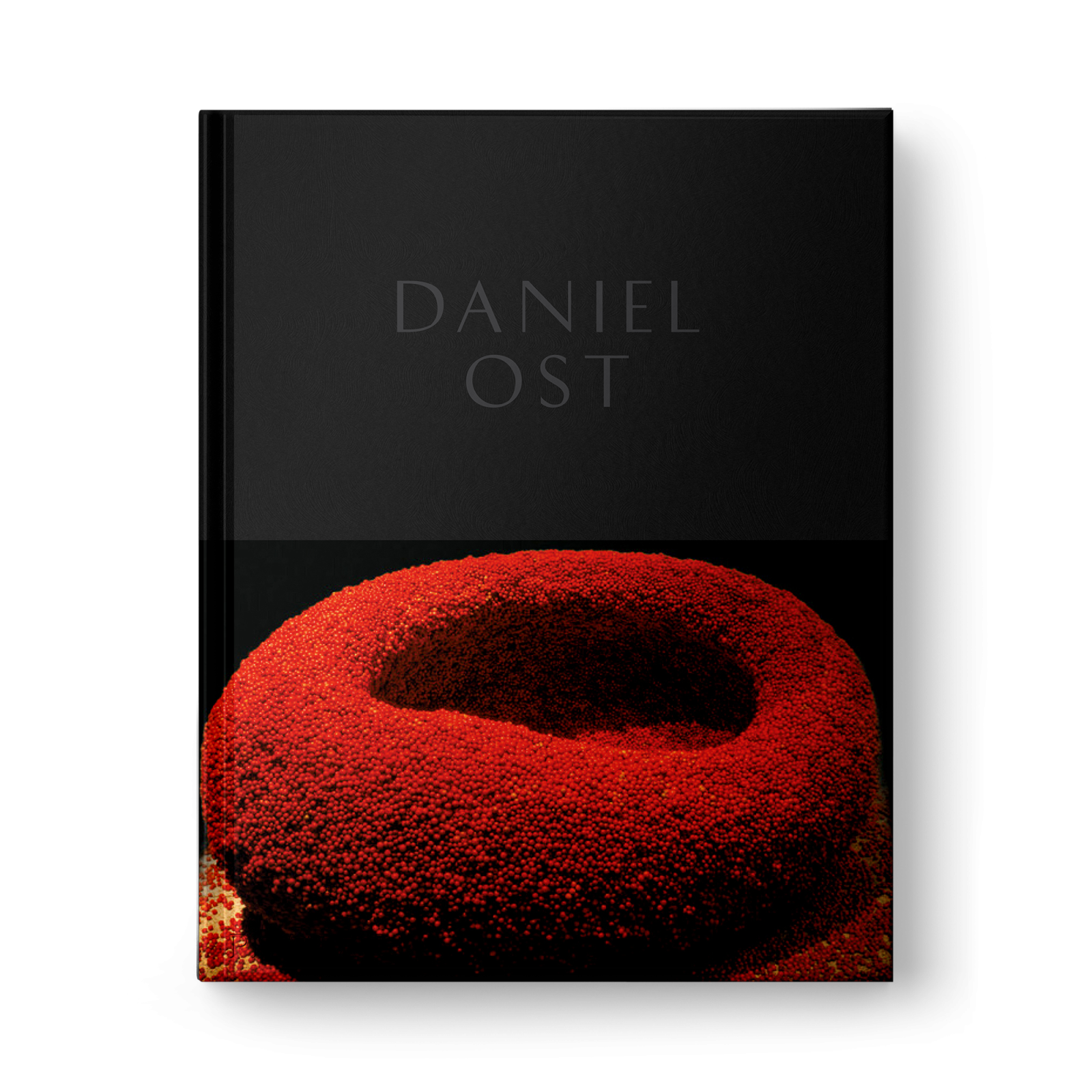 daniel-ost-artist-book-1