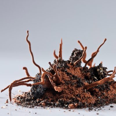 elbulli-2005-2011-6