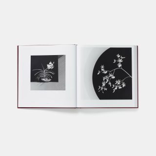 mapplethorpe-flora-the-complete-flowers-3