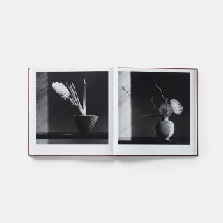 mapplethorpe-flora-the-complete-flowers-4