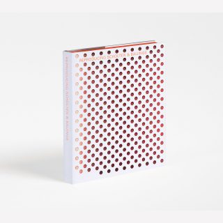scholten-baijings-book-gessato-6