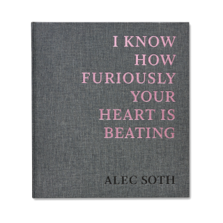 i-know-how-furiously-your-heart-is-beating-alec-soth-1