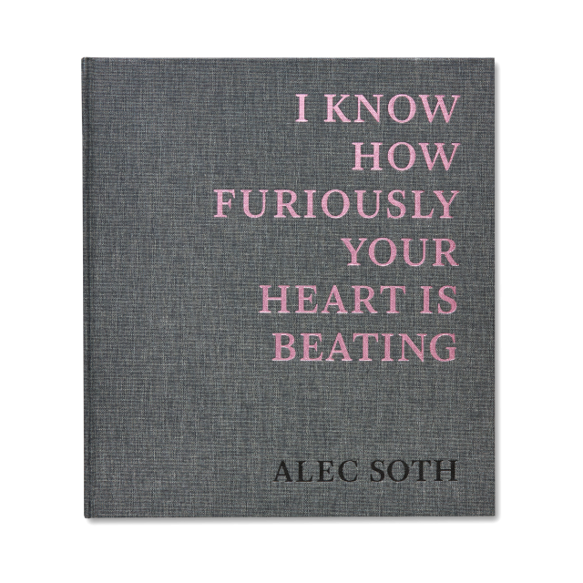 i-know-how-furiously-your-heart-is-beating-alec-soth-1