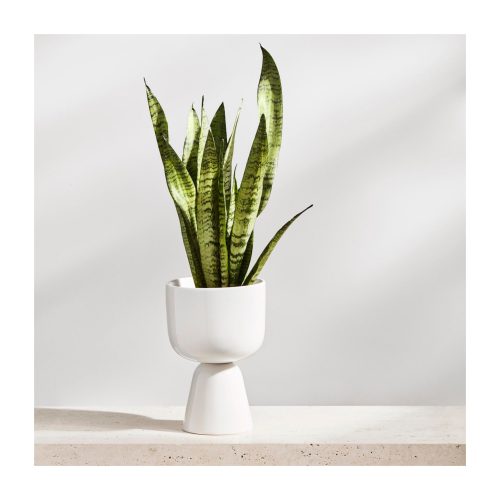 nappula-plant-pot-short-6