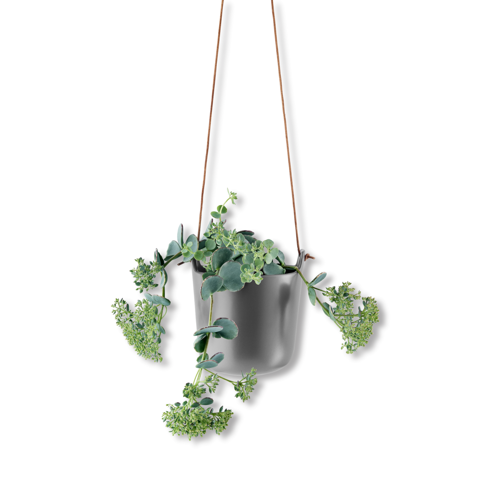 selfwatering-hanging-pot-grey-1