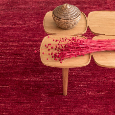 persian-scarlet-2