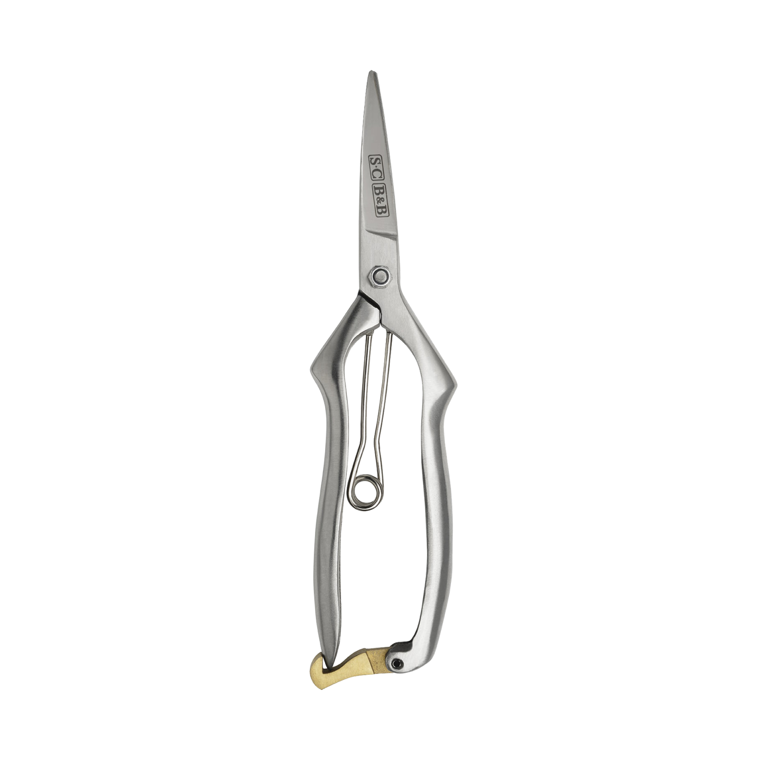 precision-secateurs-1