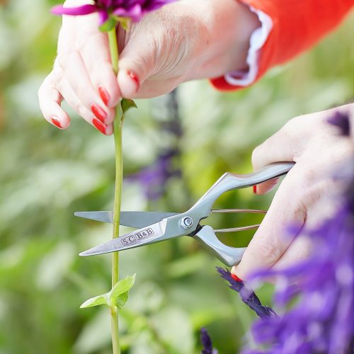 Sophie Conran Precision Secateurs - Gessato Design Store