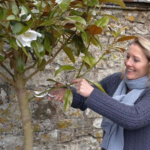 Sophie Conran Secateurs - Gessato Design Store