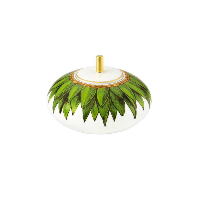 Amazonia Sugar Box