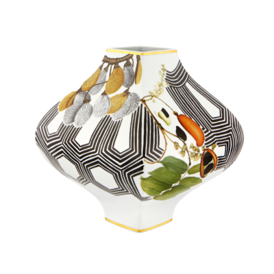 amazonia-vase-sementes-1
