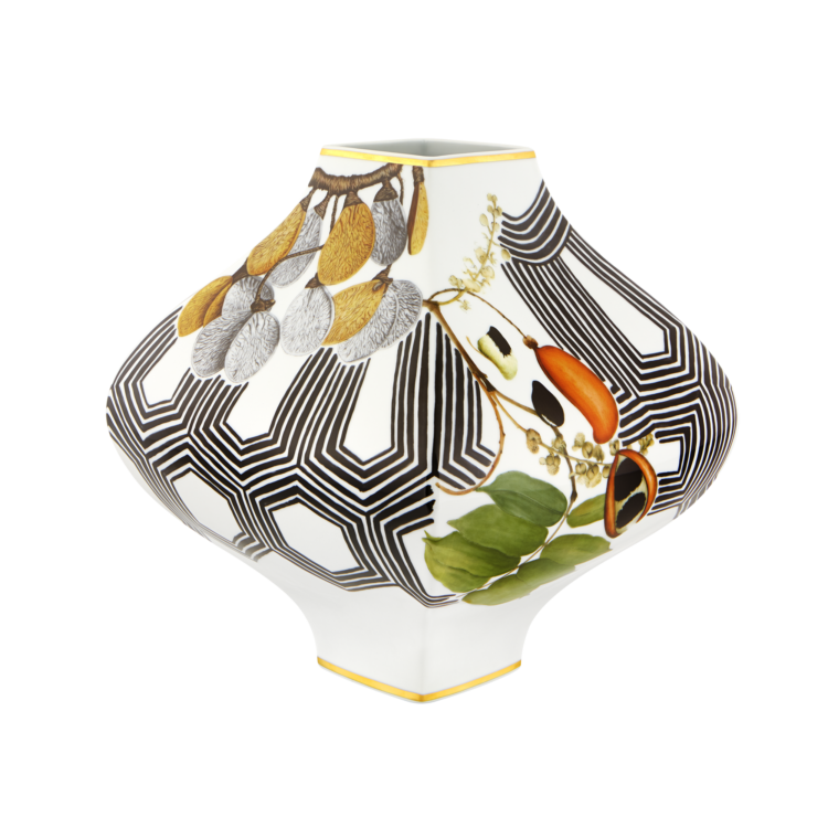 Amazonia Vase Sementes