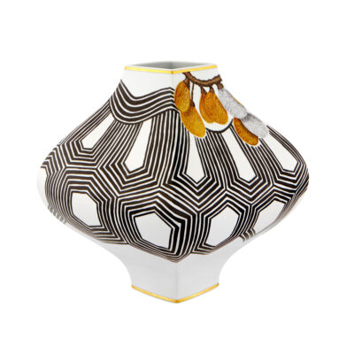 amazonia-vase-sementes-2