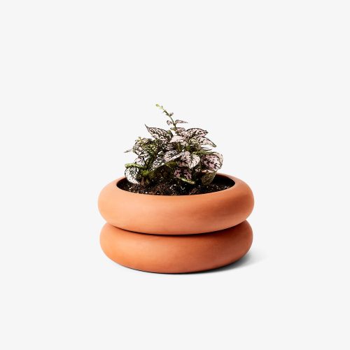 modern-terracotta-plater-stackable-4