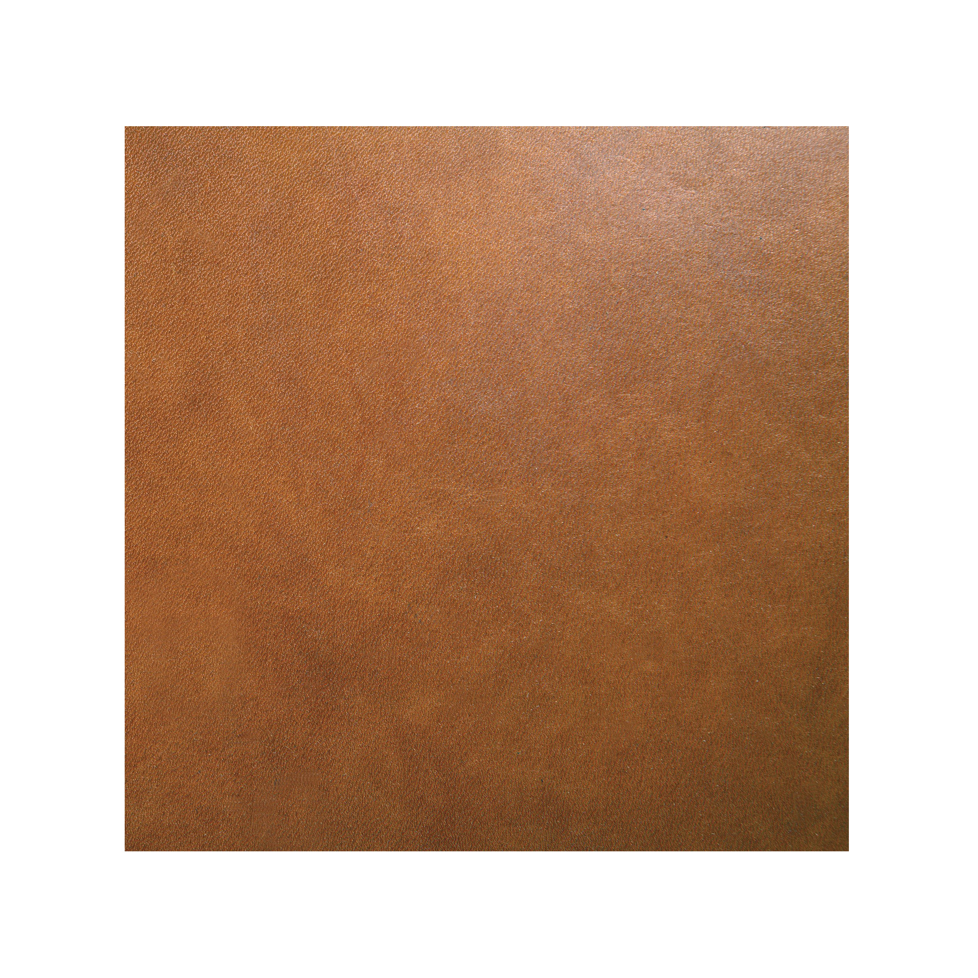  Ash,  Cognac Leather