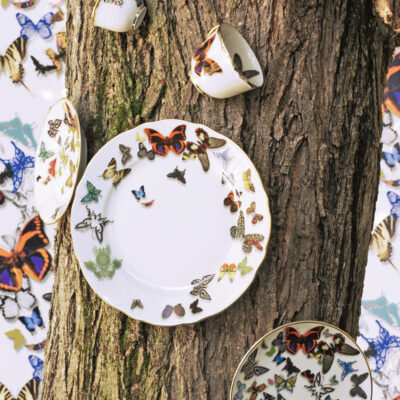butterfly-parade-2