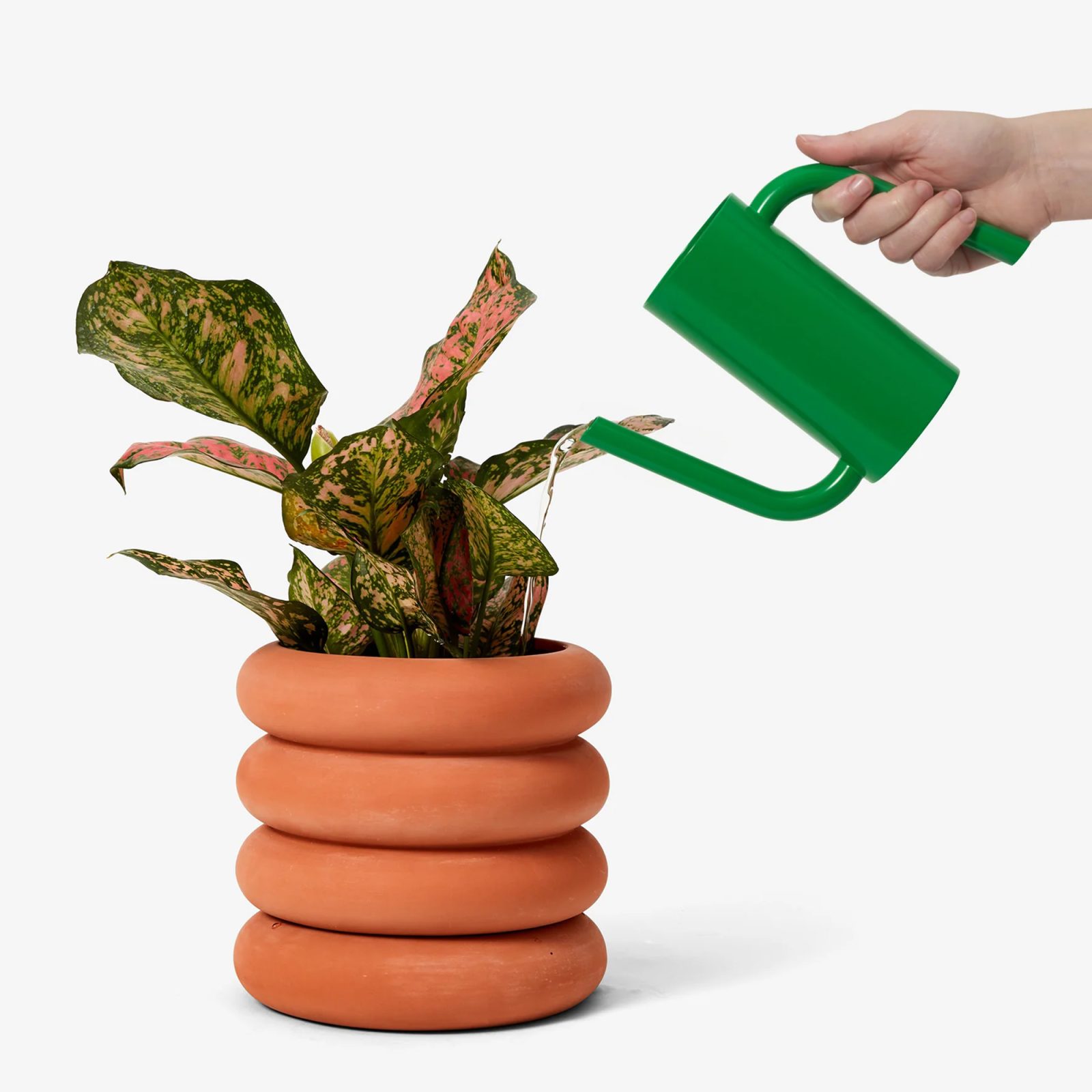 Extra product info
