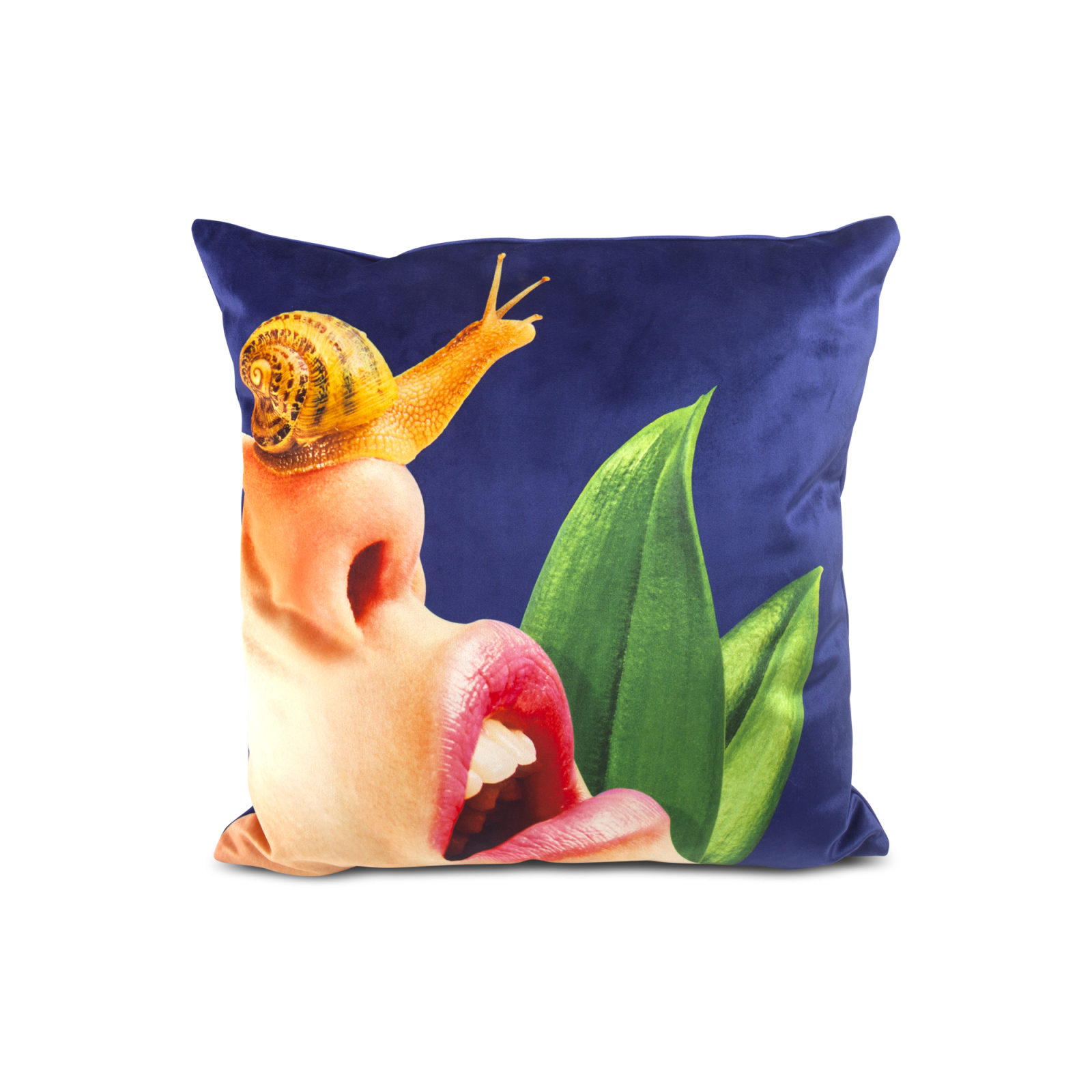 snail-pillow