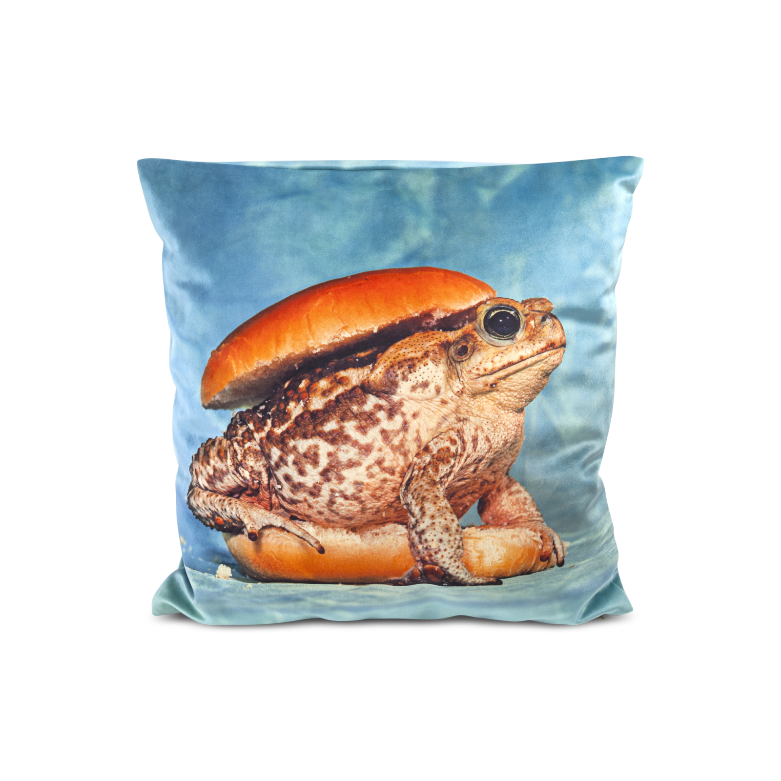 toad-pillow