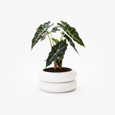 stacking-planter-white-short-2-